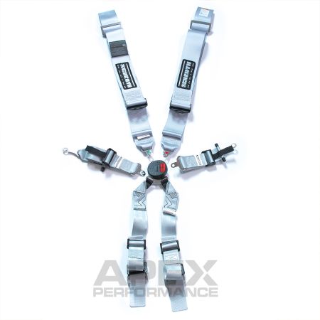 Harnais Schroth Profi II-6FE ASM (ECE) 6 points à visser, argent