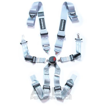 Harnais Schroth Profi II-6FE ASM (ECE) 6 points à visser, argent